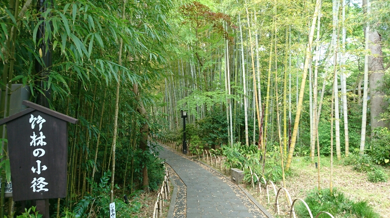 修善寺ふるさとガイドの会